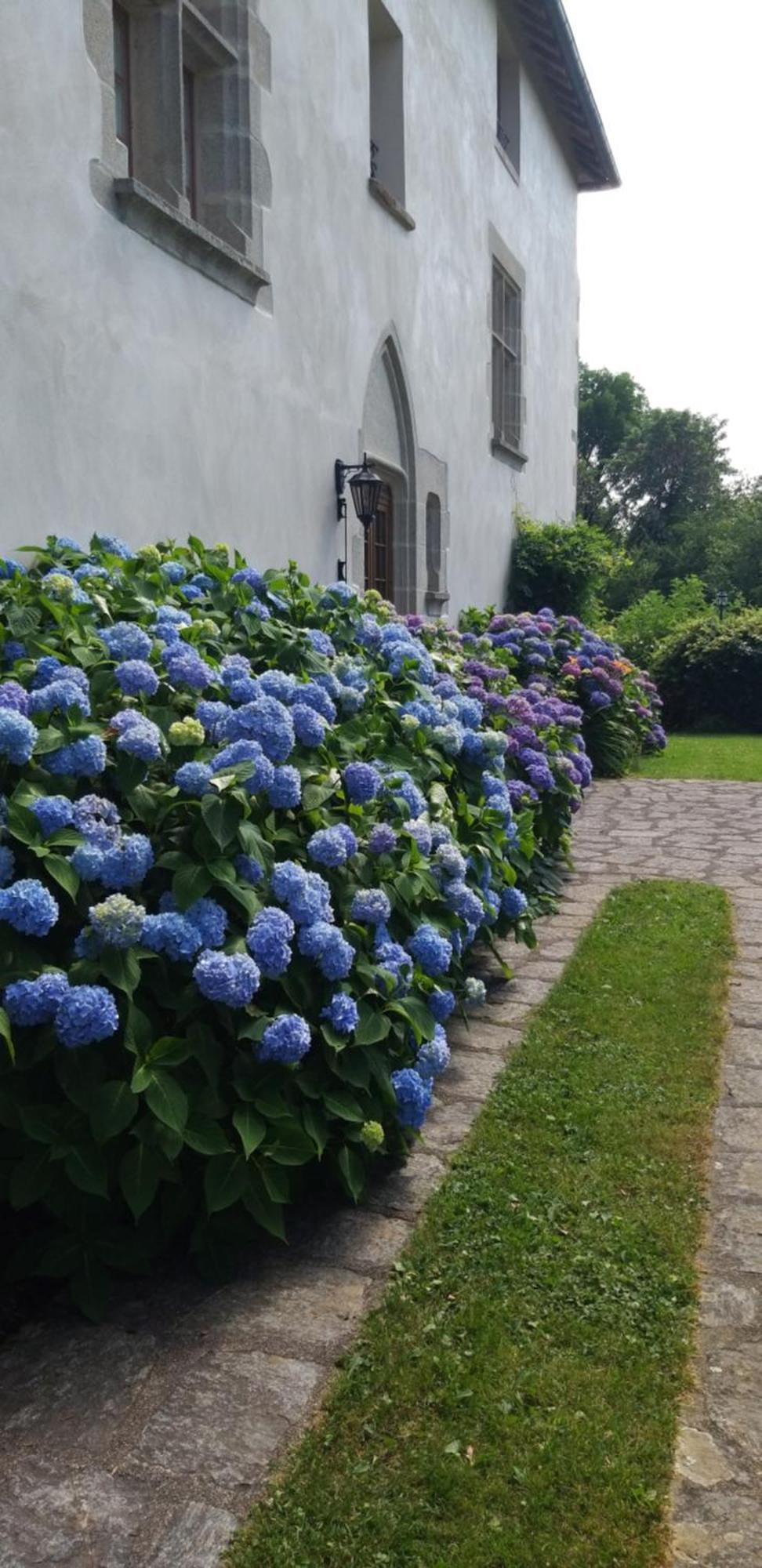 Pensión Manoir Xv Domaine De Peyrafort Tulle
